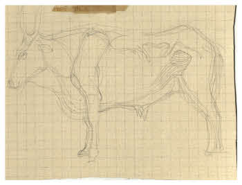 Visualizza l'immagine "FD D 365"